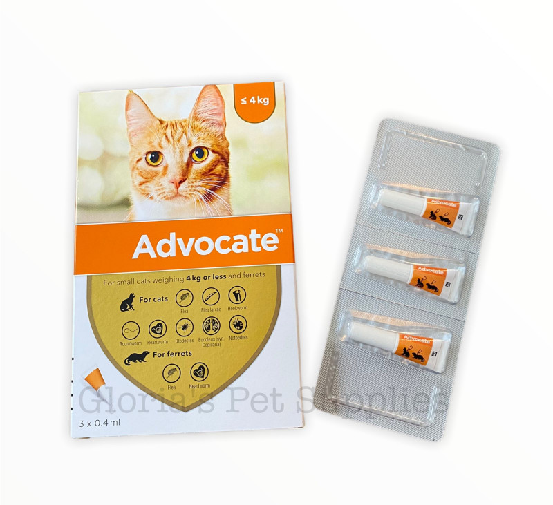 Advocate under 4kg per pc Products Gloria s Pet Supplies