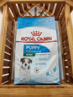 Royal Canin- Mini Puppy (8kg)