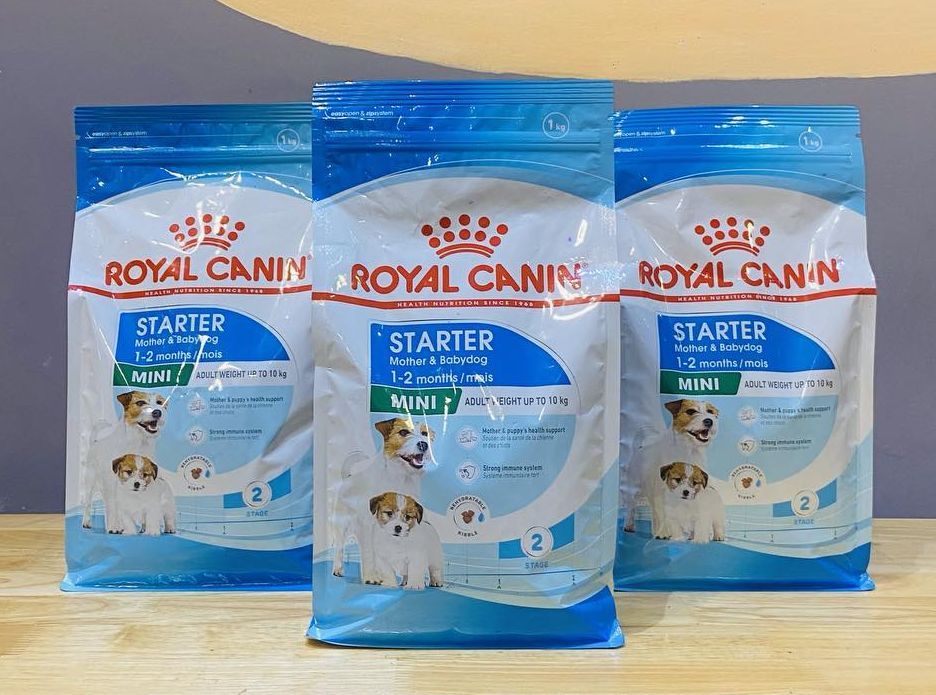 Royal Canin-Mini Starter (1kg)