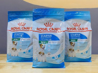 Royal Canin-Mini Starter (1kg)